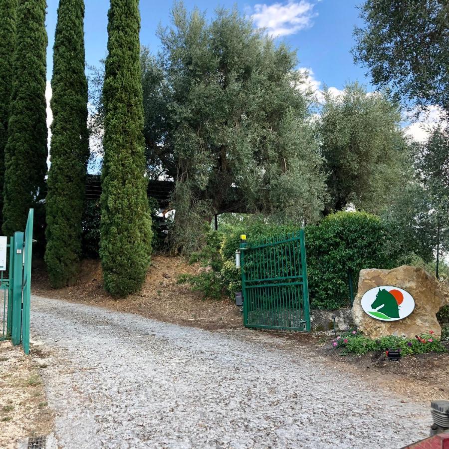 Agriturismo Poggio Del Drago Montemerano Eksteriør bilde