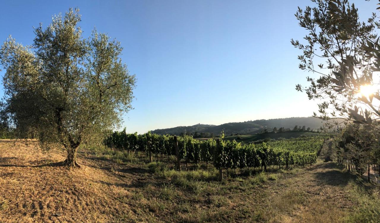 Agriturismo Poggio Del Drago Montemerano Eksteriør bilde