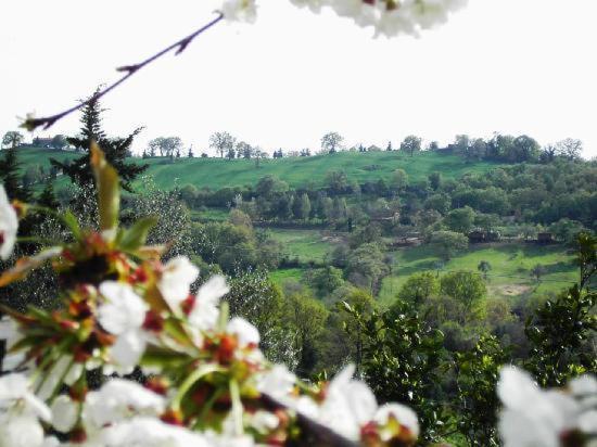 Agriturismo Poggio Del Drago Montemerano Eksteriør bilde