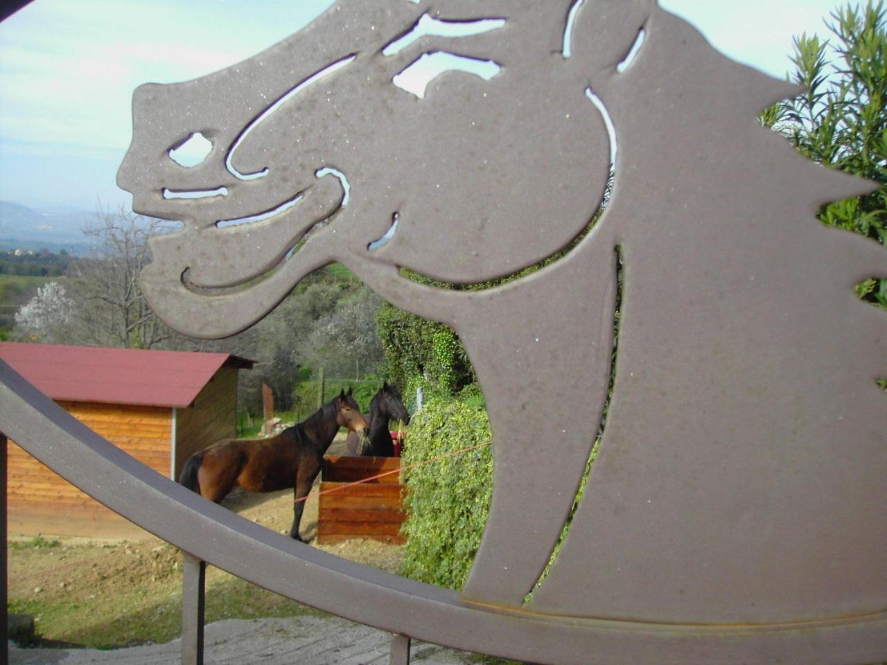 Agriturismo Poggio Del Drago Montemerano Eksteriør bilde