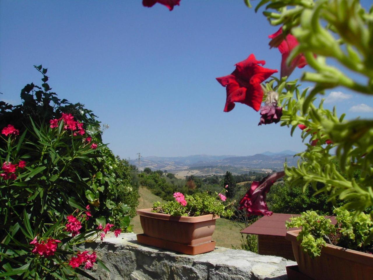 Agriturismo Poggio Del Drago Montemerano Eksteriør bilde