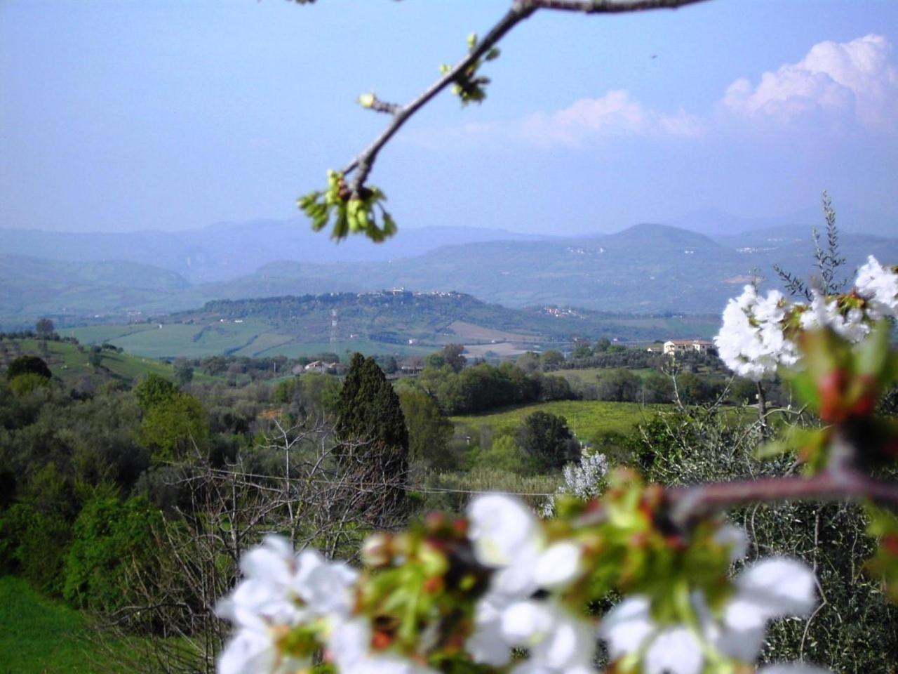 Agriturismo Poggio Del Drago Montemerano Eksteriør bilde