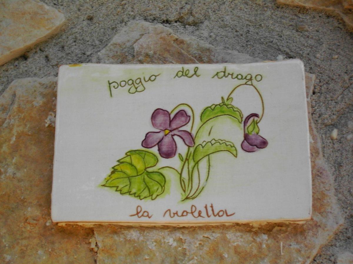 Agriturismo Poggio Del Drago Montemerano Rom bilde